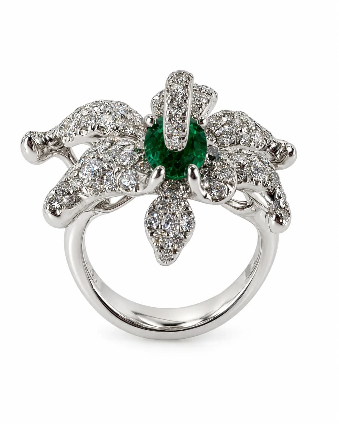 Ring - 1